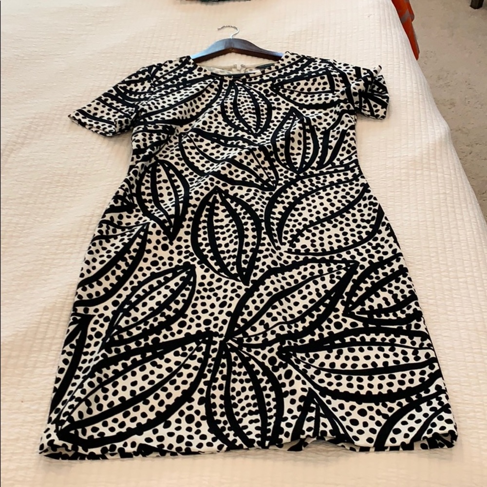 Ann Taylor dress